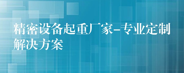 精密設備起重廠家-專業(yè)定制解決方案